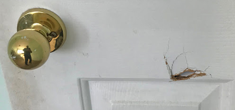 interior door hole repair Tara Hills